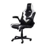 Cadeira Gaming Trust GXT 703W RIYE Preto, Branco - Image 5