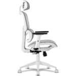 Cadeira de Escritório Ergonómica Offy Lyca Cinza/Branca - Image 3