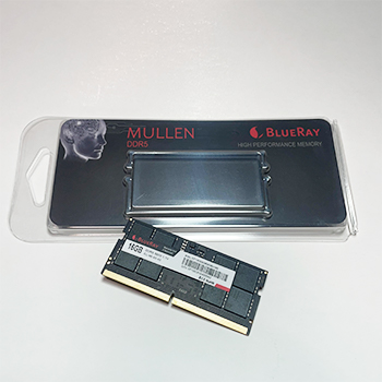 16GB DDR5 SO-DIMM 4800 Memoria Ram (1x8gb) CL46 BLUERAY